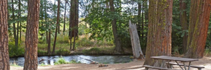 Escape To Honn Campground: Your Northern California Adventure Awaits!