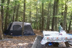 Fowlers Hollow State Park - 2 Photos - Blain, PA - RoverPass