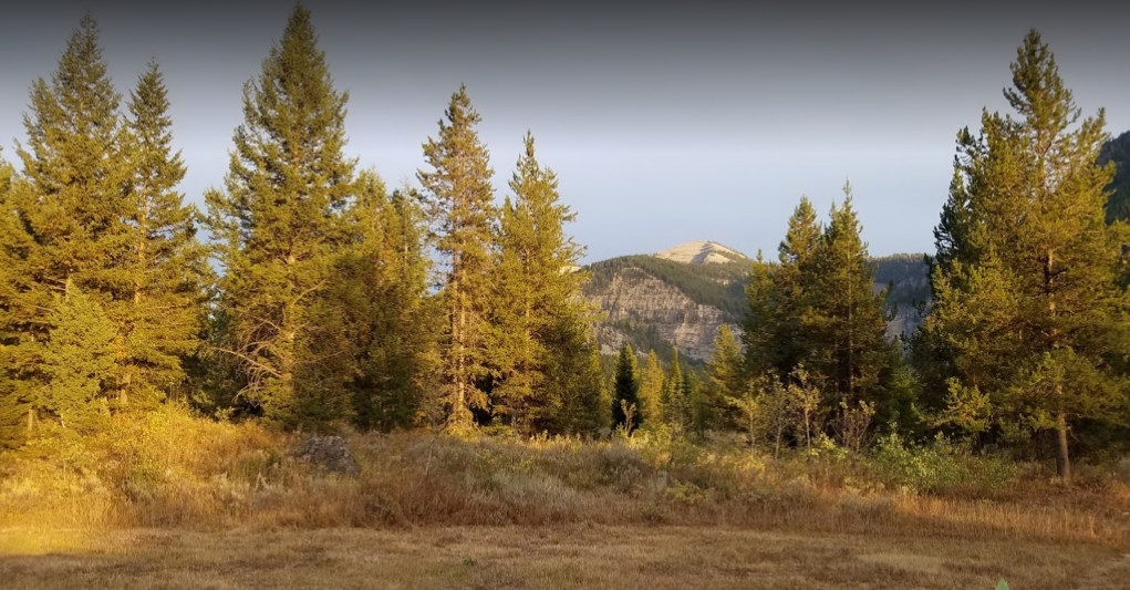 Reunion Flat Campground 2 Photos Alta Ut Roverpass