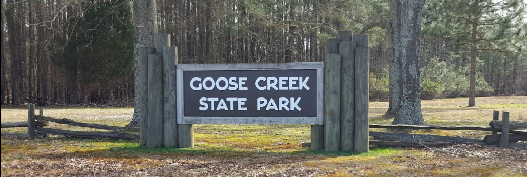 Goose Creek State Park - 2 Photos, 1 Reviews - Washington, NC