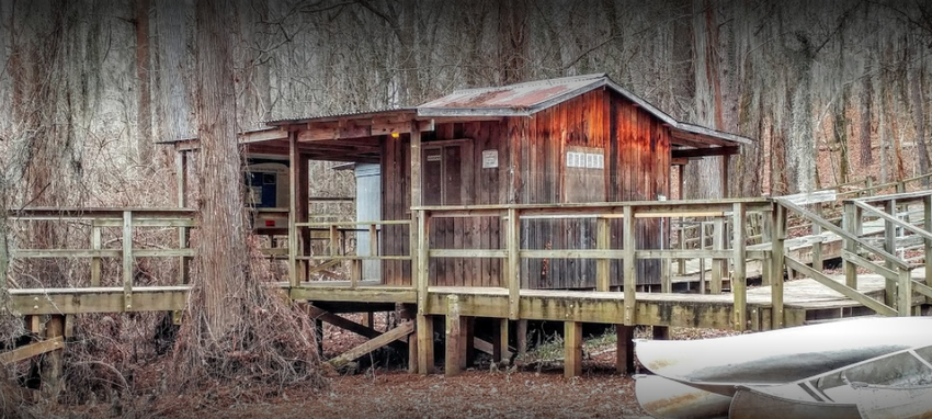 Caddo Lake State Park