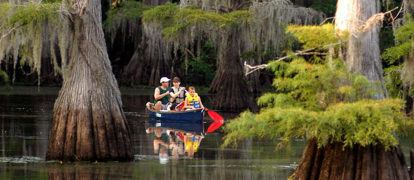 Caddo Lake State Park 1