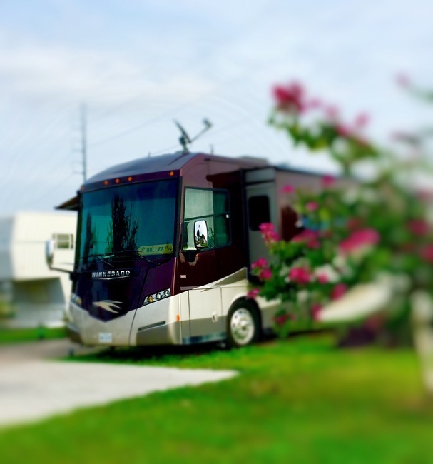 Bluebonnet Rv Park Mission Tx 6