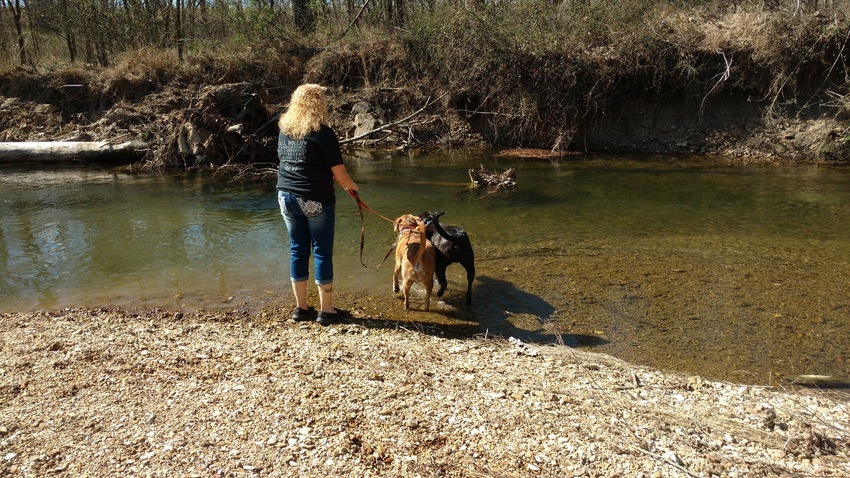 Fall Hollow Campground Hohenwald Tn 21