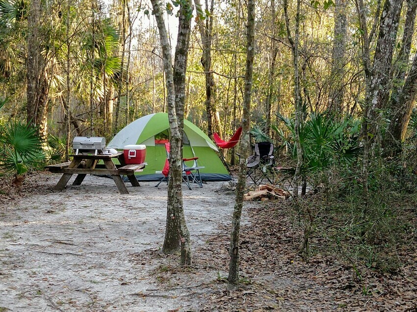 Suwannee River Hideaway Campground Old Town Fl 1