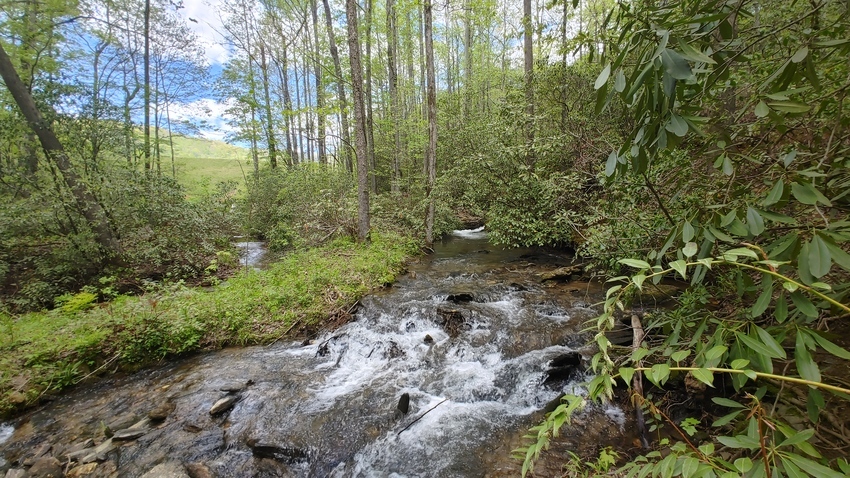 Ldma   Oconee Campground   Gold Mining Tamassee Sc 11