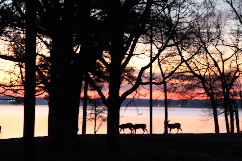 Island View Rv Park Jefferson Tx 7