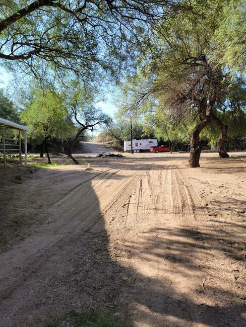 Lady Lottie Roping Camp Wickenburg Az 2