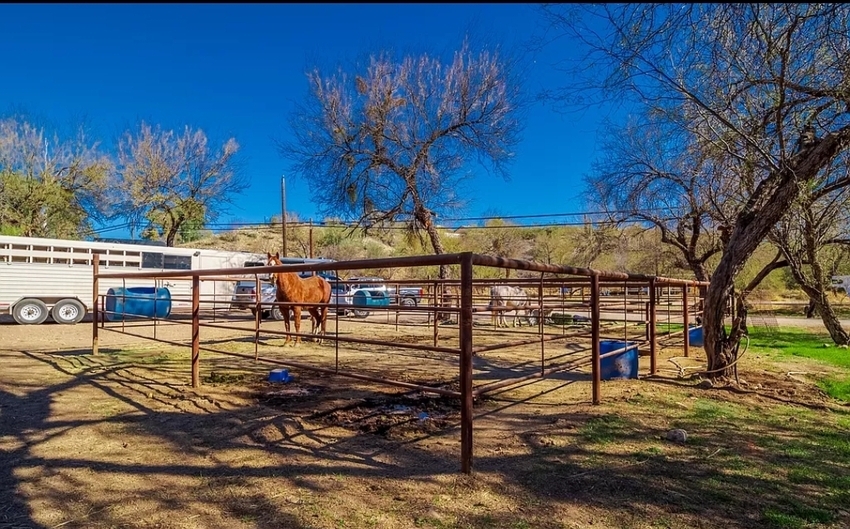 Lady Lottie Roping Camp Wickenburg Az 7