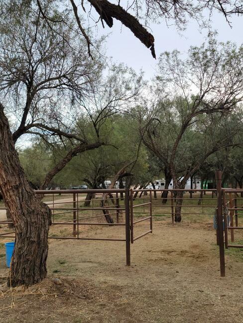 Lady Lottie Roping Camp Wickenburg Az 23