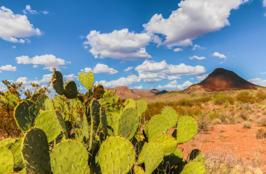 Tin Valley Retro Rentals Rv Park Terlingua Tx 35