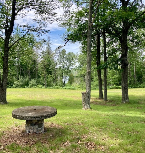 The Woodlands Acres Campground Hale Mi 32