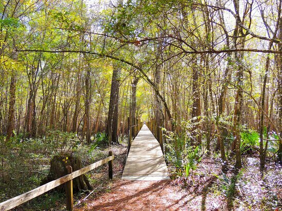 Enjoy The 1 500 Ft Boardwalk