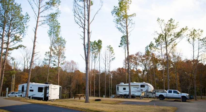 The Pines Rv   Cabin Resort Mount Vernon Tx 2