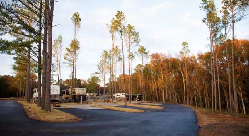 The Pines Rv   Cabin Resort Mount Vernon Tx 5