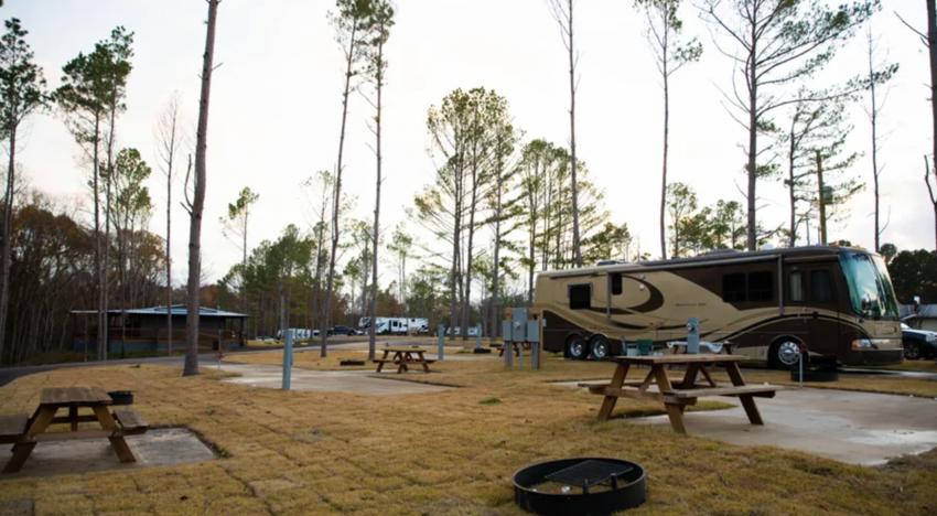 The Pines Rv   Cabin Resort Mount Vernon Tx 6