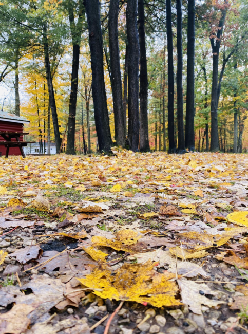 Peaceful Winds Camp   Rv Park Irons Mi 9