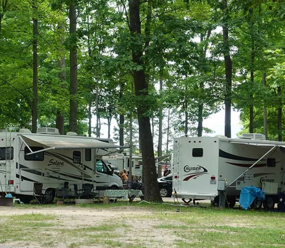 Chain O' Lakes Campground 6 Photos Bellaire, MI RoverPass