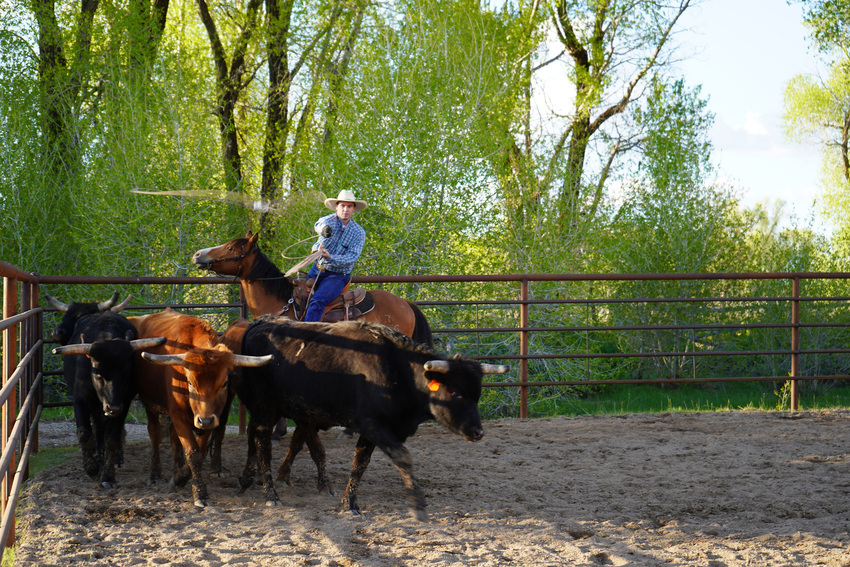 Hapi Trails Ranch Driggs Id 46