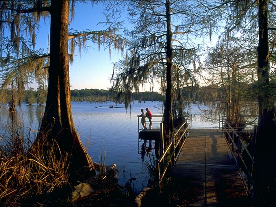 Louisiana Chicot State Park - Site B - Double Camp - 5 Photos - Ville