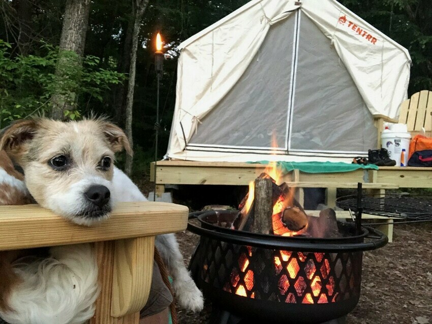 Wells Campground - - Sturbridge, MA - RoverPass