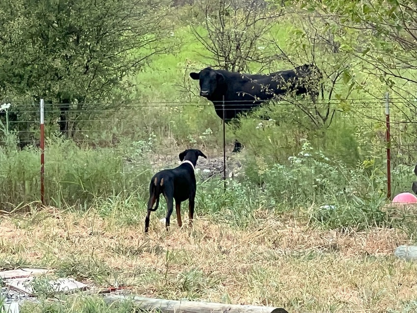 Open Valley Rv Park Cresson Tx 5