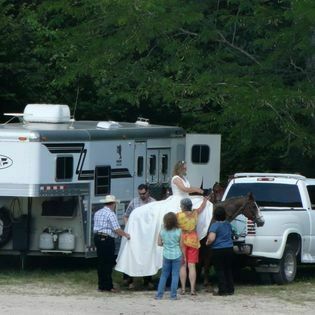 Brushy Creek Lodge   Resort Black Mo 57