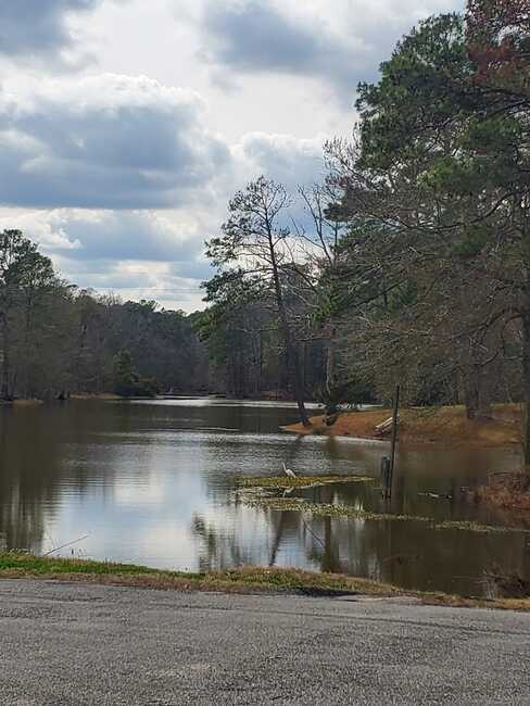 Huxley Bay Marina And Rv Park Shelbyville Tx 8