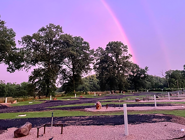 Park With Rainbow