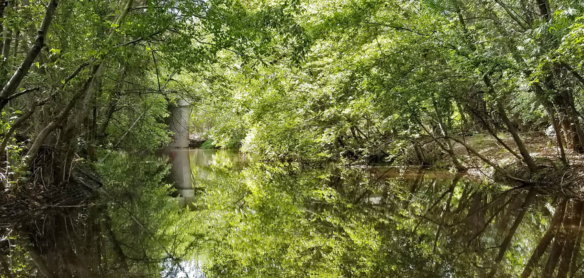 Creek Pond