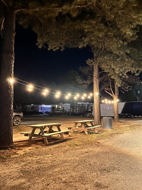 Picnic Tables