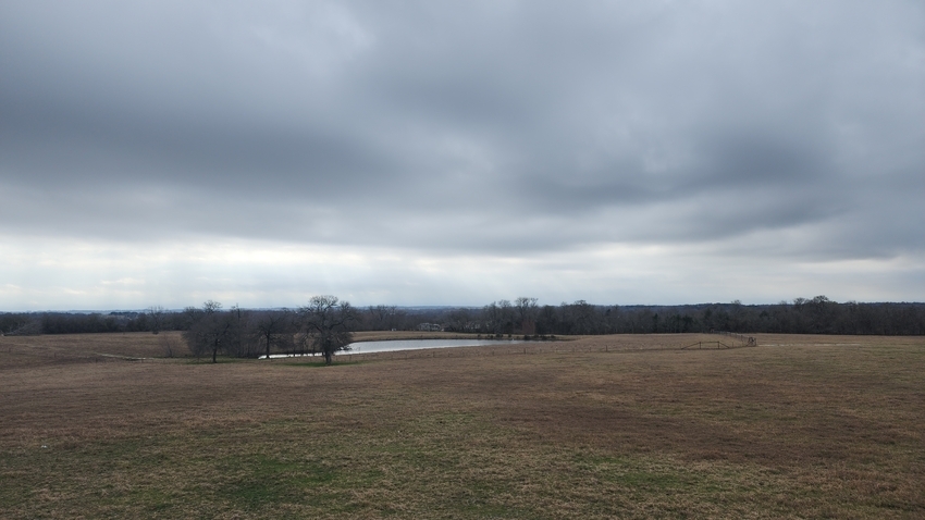 Pitstop Pond View Cloudy